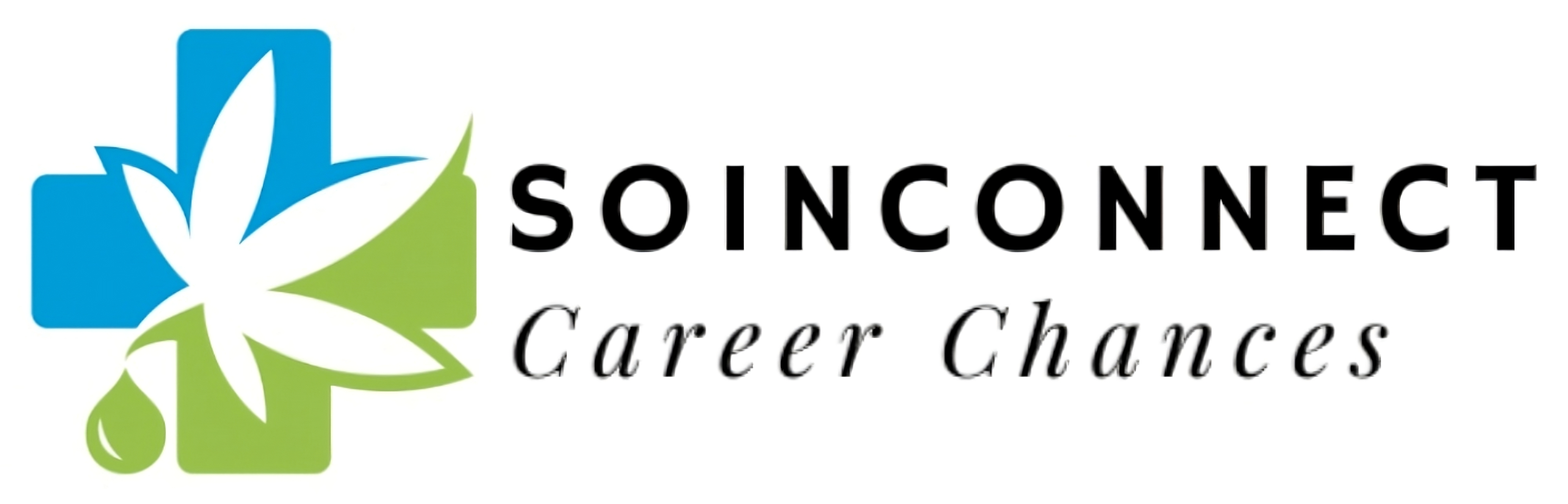 SoinConnect Logo